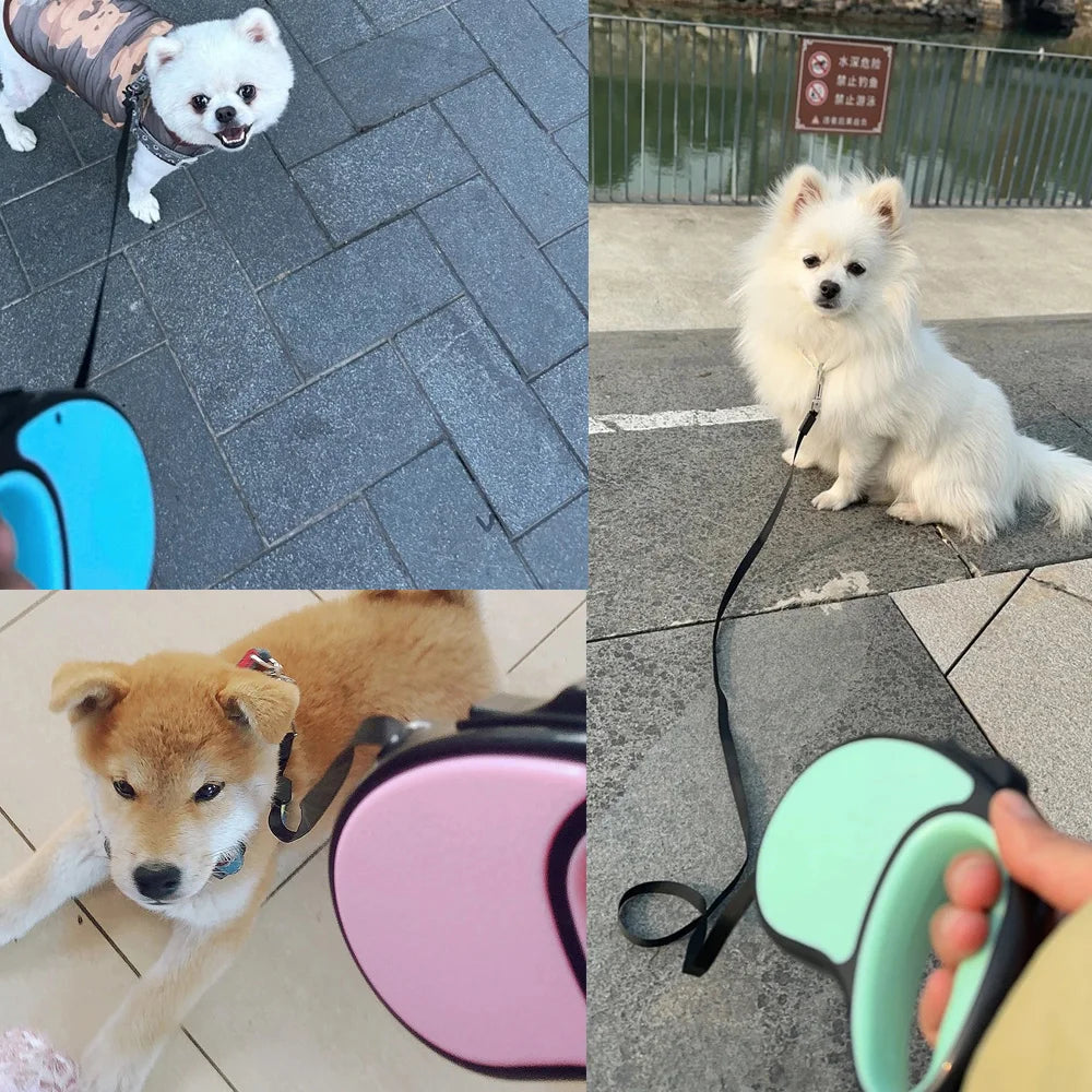Automatic Retractable Dog Leash (3M & 5M) | Flexible Extending Lead for Small & Large Dogs (Pug, Chihuahua & More!)