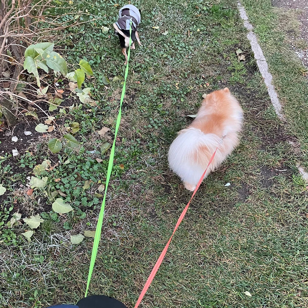 3M Auto Retractable Dual Dog Leash for Two Dogs | Includes Flashlight & Waste Bag Holder